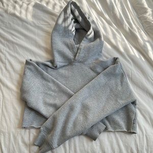 Aritzia tna hoodie cropped